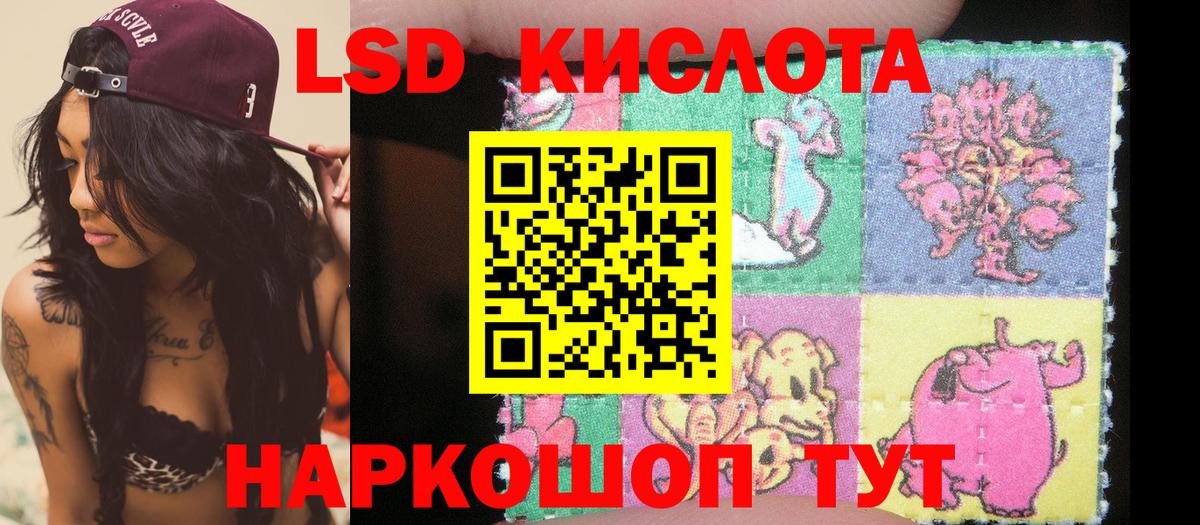 Наркотические марки 1,5мг  Вход с VPN  Петропавловск-Камчатский  Наркотические марки 1,5мг 