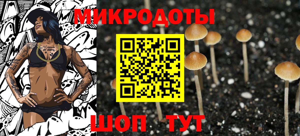 Псилоцибиновые грибы MAGIC MUSHROOMS Петропавловск-Камчатский
