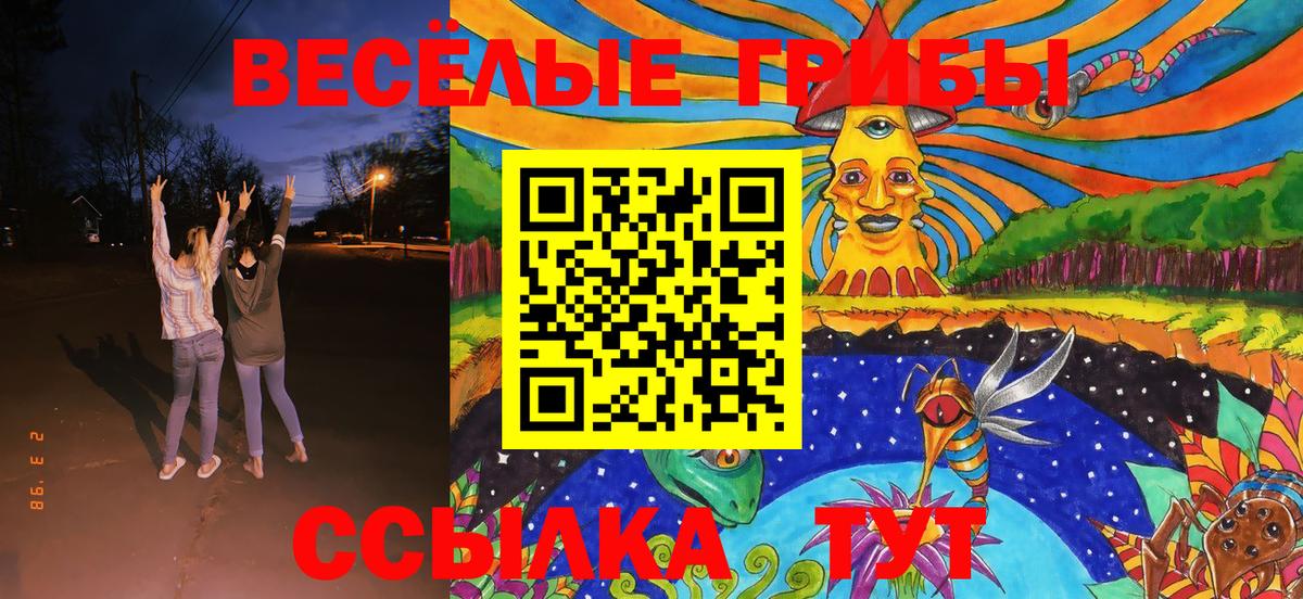 Галлюциногенные грибы мицелий  Вход с VPN  Петропавловск-Камчатский 